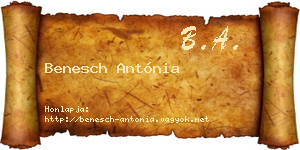 Benesch Antónia névjegykártya